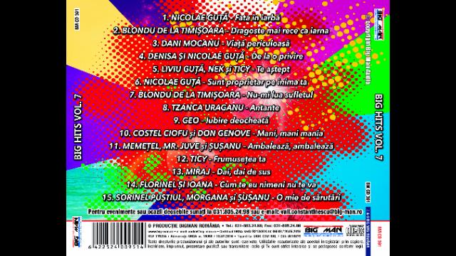 Big Hits Volumul 7